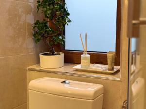 a bathroom with a toilet and a window and a plant at Central Lux in Petrovac na Mlavi
