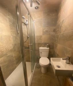 a bathroom with a shower and a toilet and a sink at Spacious Studio by the sea, Garden & Parking in Marazion