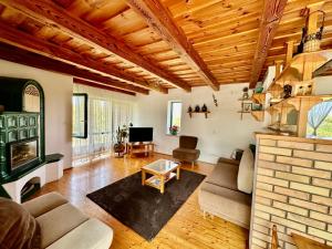 a living room with a couch and a fireplace at Apkó Vendégház in Őriszentpéter