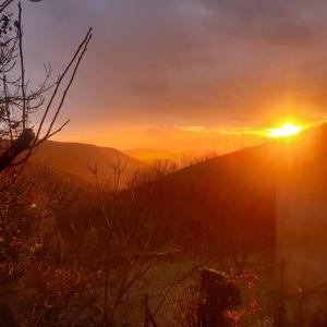 a sunset on a hill with the sun setting at Le réveil des oiseaux in Taillet +8 photos