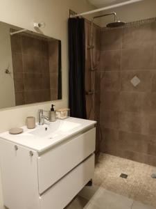 a bathroom with a white sink and a shower at Charmant cocon tout équipé in Carpentras