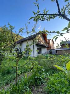 a small house in a field of grass at Guest house Alyaska in Bukovel +11 photos