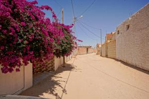 an alley with flowers on the side of a building at Maison 100 in Douz