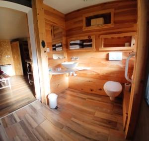 a bathroom with a sink and a toilet at Entre-parenthèses,gîte avec SPA,proche Gérardmer et La bresse in Vagney +29 photos