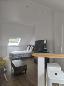 a living room with a bed and a table with a television at STUDIO COZY 20m2 in Les Attaques