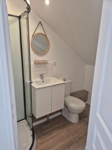 a bathroom with a toilet and a sink and a mirror at STUDIO COZY 20m2 in Les Attaques