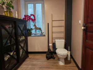 a bathroom with a toilet and a dog standing next to it at Chez Mina in Saint-Béat +4 photos