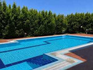 a large blue swimming pool with trees in the background at Апартамент Солана - Apartment Solana in Lozenets
