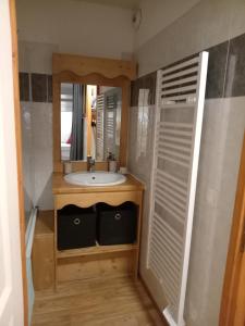 a bathroom with a sink and a mirror at Résidence les églantines in Le Mélézet