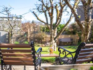 two benches and a table with a bottle on it at Applepips in Stirling