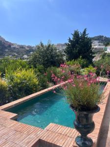 a swimming pool with a planter with flowers in it at Villa Eletta, Capri in Capri