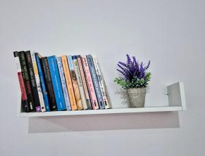 a shelf with books and a potted plant on it at Casa no centro de Poços de Caldas in Poços de Caldas