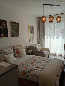 a bedroom with a large bed and a couch at Elbląg Stare Miasto Bulvar, Old Town, Snake in Elblag