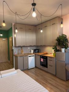 a kitchen with gray cabinets and white appliances at MIŁO Apartament Zarembowicza in Wrocław +3 photos