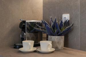 two cups on a counter with a coffee maker and a cactus at PJ Properties Studio in Sounio steps away from the beach in Sounio +7 photos