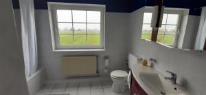 a bathroom with a toilet and a sink and two windows at Luxuswohnung, 90 qm, Balkon, beste Lage in Kollmar in Kollmar +59 photos