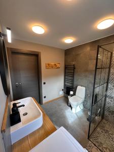 a bathroom with a sink and a toilet at Jūrmalciema Pērle AMBER in Jūrmalciems