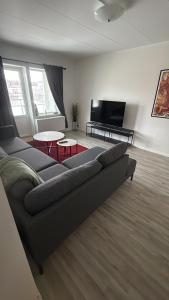 a living room with a couch and a flat screen tv at Björklunden in Sollefteå