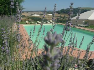 Bazén v ubytování Antonella House -Podere della Collina nebo v jeho okolí