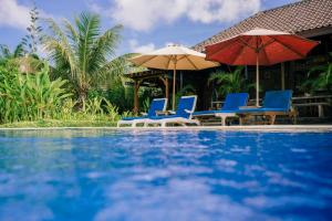 a group of chairs and umbrellas next to a pool at Uluwatu Jungle Villa in Uluwatu