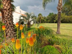 a garden with flowers and a palm tree at Villa Sardinia Guest House in Midrand