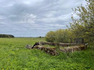 an old stump in the middle of a field at The White MEADOW in Titova +2 photos