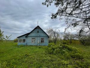 an old blue house in a field of grass at The White MEADOW in Titova
