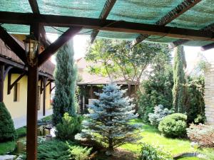 Κήπος έξω από το Hotel U Lišky