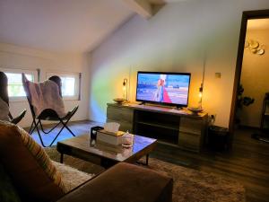 a living room with a tv and a person sitting in a chair at Chez Toi Ailleurs - Dinant in Dinant