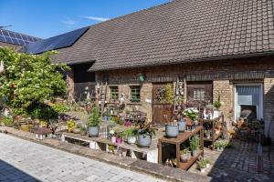 a building with a bunch of potted plants in it at Ferienhaus Lilla Huset in Neheim-Hüsten