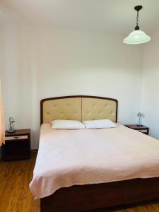 a bedroom with a large bed with two night stands at Casa Regina Pacis in Vărvăreuca