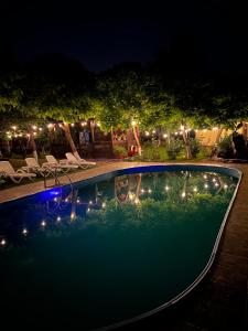 a swimming pool lit up at night with lights at Salcia Pletoasa in Mahmudia