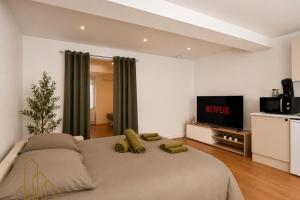 a bedroom with a large bed and a television at L'Échappée du Canal in Roanne