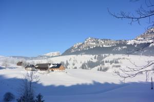 a snow covered mountain with a house in the distance at Ferienwohnung Pöreiterhof in Tauplitz +6 photos