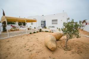 a barrel sitting in the dirt next to a tree at Villa Bianca 2 in Fafou +20 photos