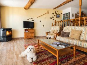 a white dog sitting in the middle of a living room at El Triskel de Chumbea- Confort y naturaleza en la Sierra de Béjar in Navalmoral de Béjar