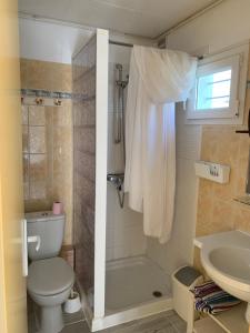 a bathroom with a toilet and a shower and a sink at Lascar in Royan