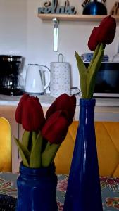 two blue vases with red flowers in them on a table at Apartman Rab Blue in Rab