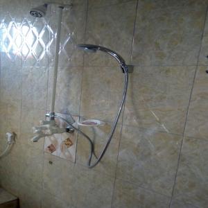 La salle de bains est pourvue d'une douche avec un tuyau. dans l'établissement Mauya Executive Lodge, à Dar es Salaam