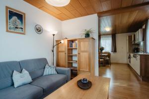 a living room with a blue couch and a table at Ferienwohnungen Lusenblick in Freyung