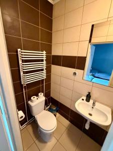a bathroom with a toilet and a sink at Pokoje przy Żaglach in Rybnik