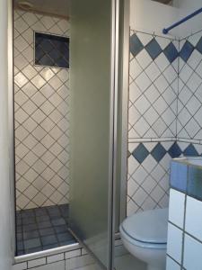 a bathroom with a toilet and a shower at Suroit in L'Ile d'Yeu