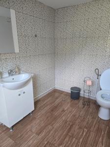 a bathroom with a sink and a toilet at The Wooden House in Moldoveneşti +29 photos
