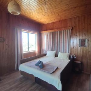 a bedroom with a large bed with a large window at Rising Sun Guesthouse in Mesokhória