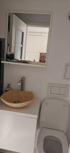 a bathroom with a sink and a toilet at La Coca Lake House in Bicaz
