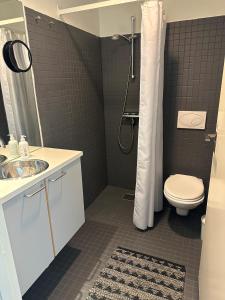 a bathroom with a toilet and a sink and a shower at Aurora Studio Apartments in Nuuk