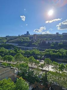 a view of a river with trees and buildings at Spacious Riverside Apartment in Central Tbilisi with Balcony in Tbilisi City