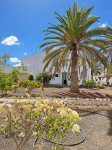 a palm tree and flowers in front of a building at Casa La Sofy in Costa de Antigua
