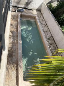 a swimming pool with a bunch of water in it at Villa Colibríes in Chelem