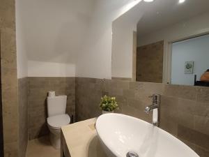 a bathroom with a sink and a toilet and a mirror at Tomarhousing - Secret Garden in Tomar